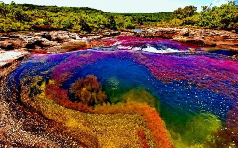 Rainbow River of Colombia