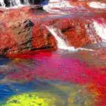 Rainbow River Of Colombia